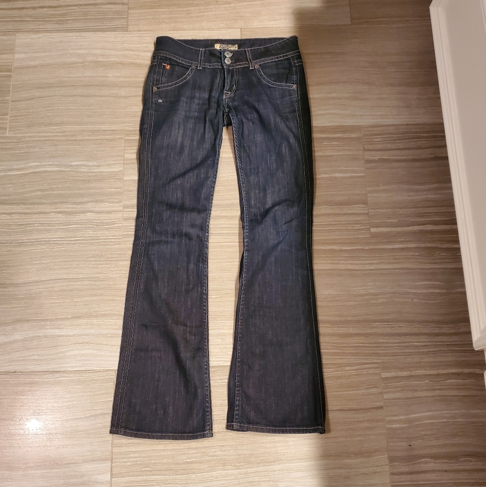 Hudson Jeans flare